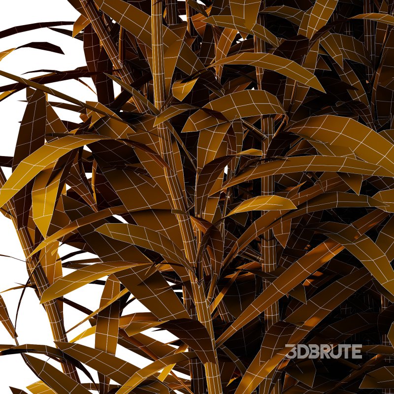 Different Grass 02 Image 1