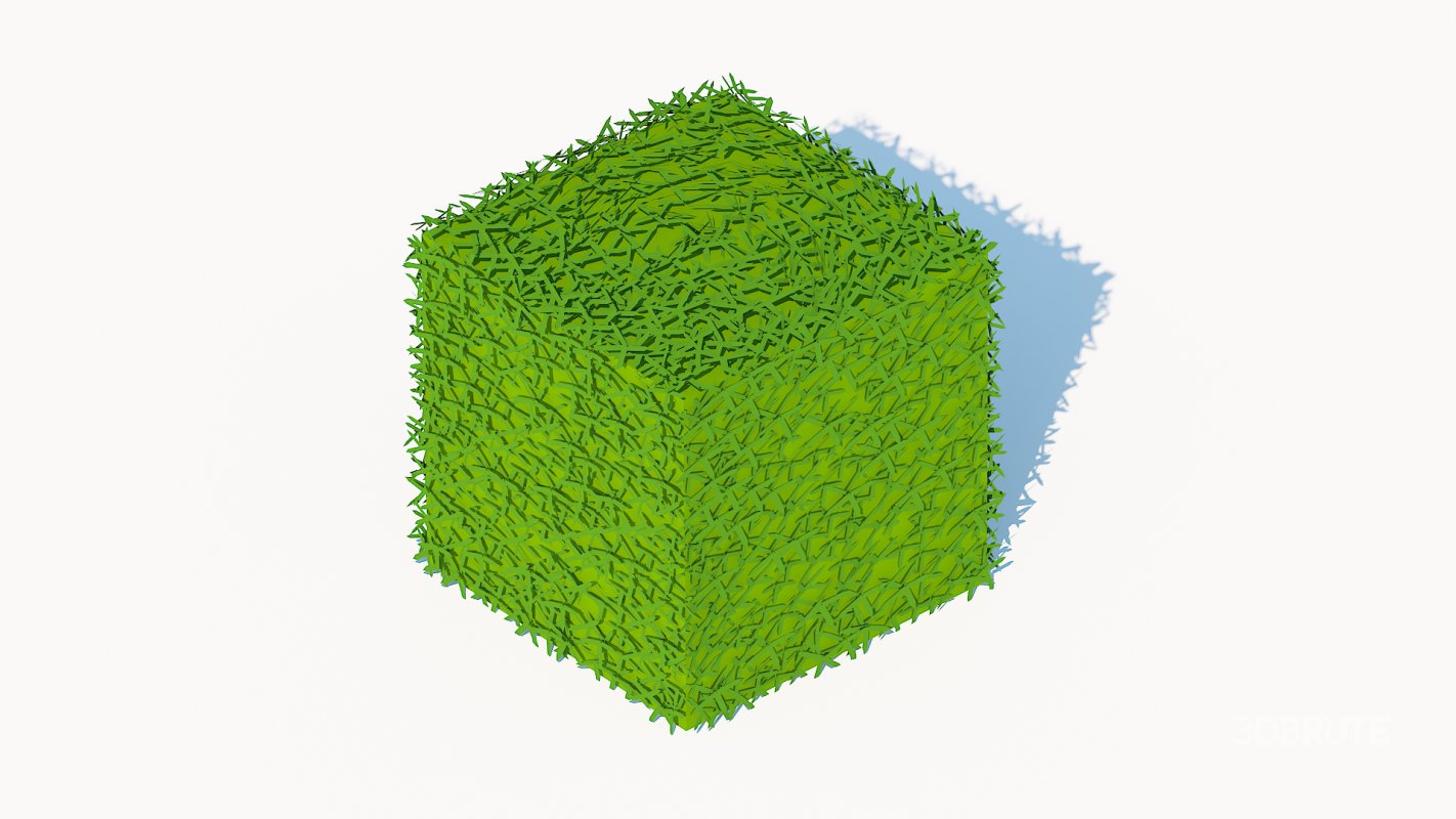 Taxus Media-Square Image 3