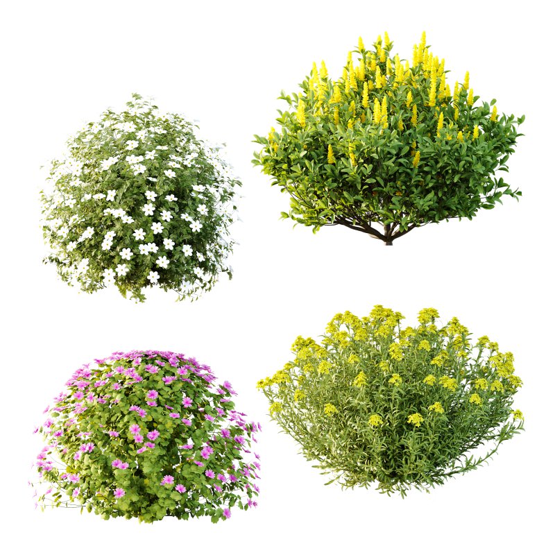 Different bush 09 Image 1