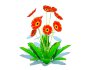 Gerbera – Gerbera Daisy_Orange_Flower - Thumbnail 3