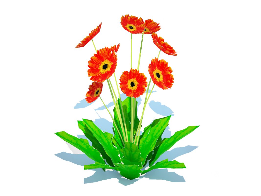 Gerbera – Gerbera Daisy_Orange_Flower Image 3