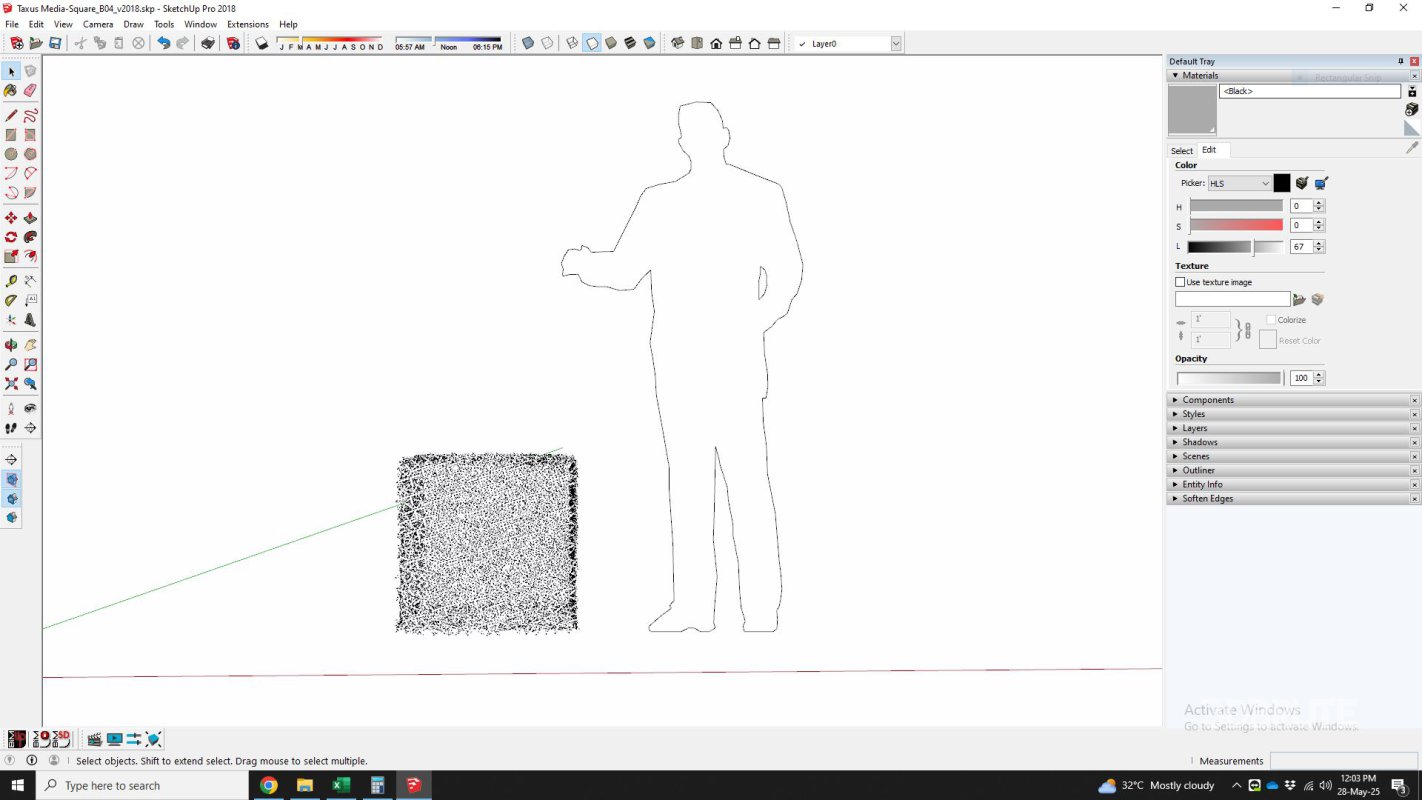 Taxus Media-Square Image 6