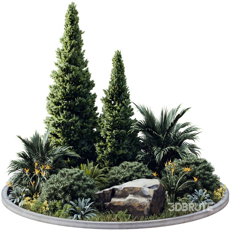 Outdoor Plant 41 Image 2