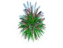 Pennisetum alopecuroides – Moudry Fountain Grass - Thumbnail 4