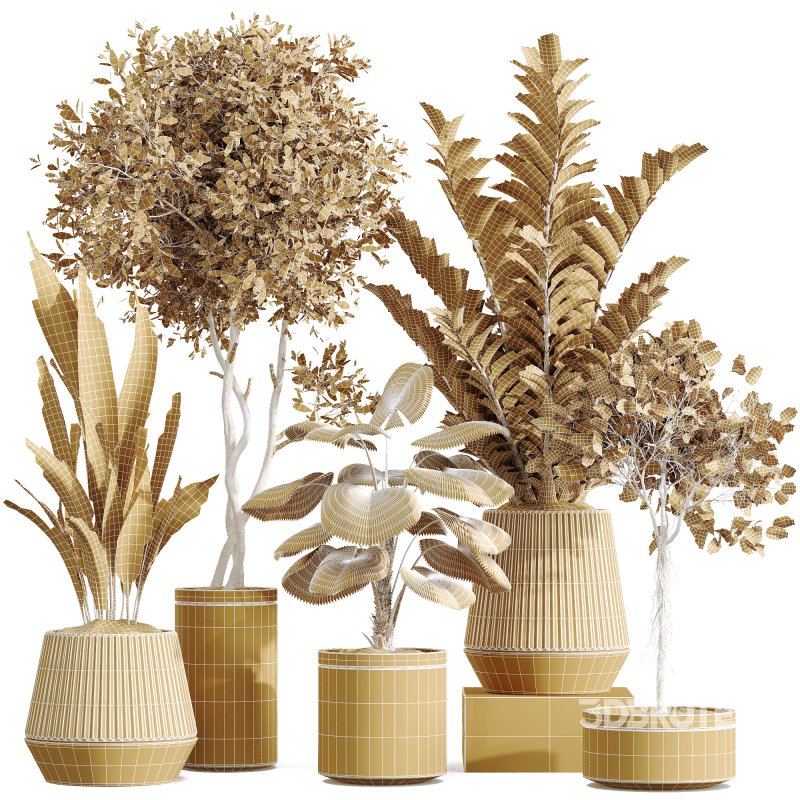 AV Indoor plants set 207 Olive Artificial and Zamiifolia Aracea and Aspidistra Elatior and Licuala Grandis and Ficus Benjamina Image 5