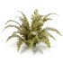 Tropical Crocodile Fern Decorative Bush - Thumbnail 7