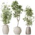 ntal plants, including Mission Olive Tree, Euphorbia Drupifera, Orange Fruit Bonsai, and Spathiphyllum Domino (Peace Lily). Each plant contributes a unique leaf structure and growth habit, while collectively forming a rich, natural ensemble perfect for calm, contemporary interiors. - Thumbnail 1