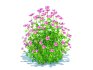 Geramium – pink cranesbill - Thumbnail 5
