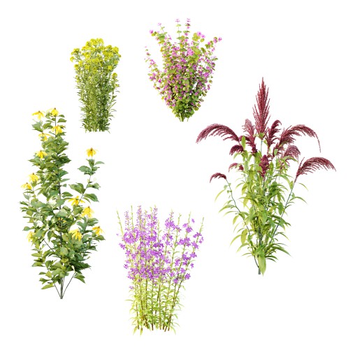 Different Grass 02