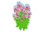 Eupatorium purpureum – Joe Pye Weed - Thumbnail 4