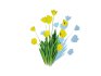 Tulipa – tulips Yellow - Thumbnail 3