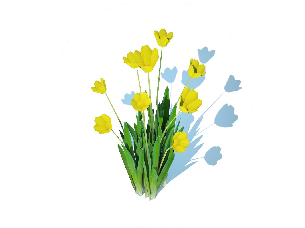 Tulipa – tulips Yellow Image 3