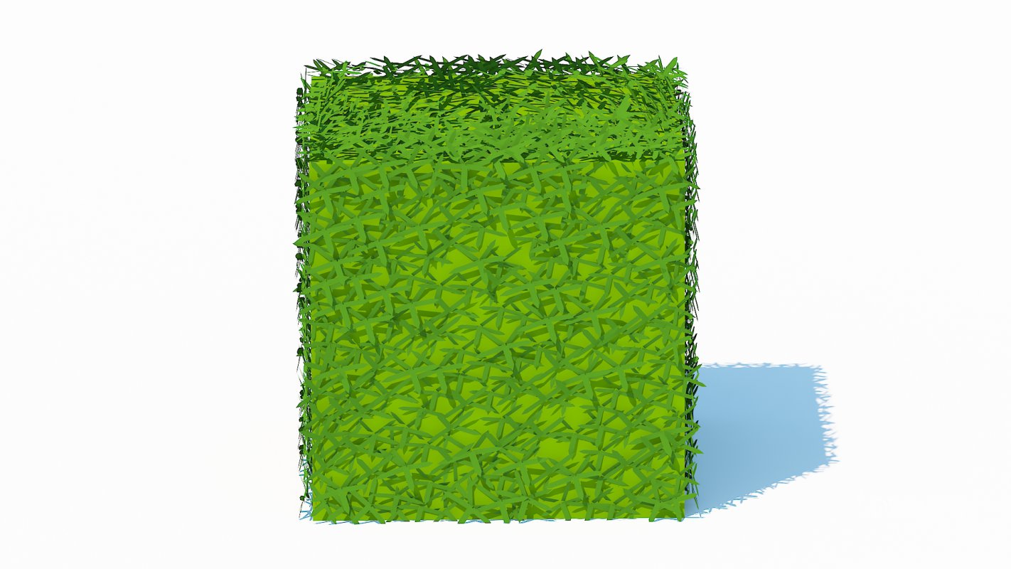 Taxus Media-Square Image 1