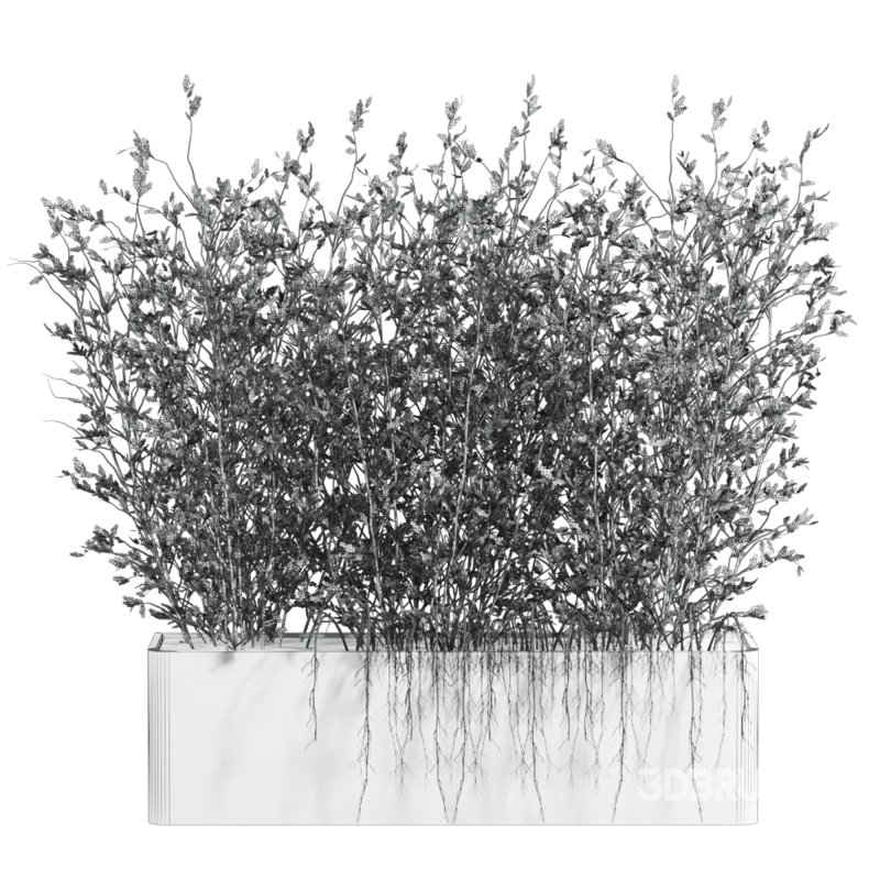 potted plant Image 3