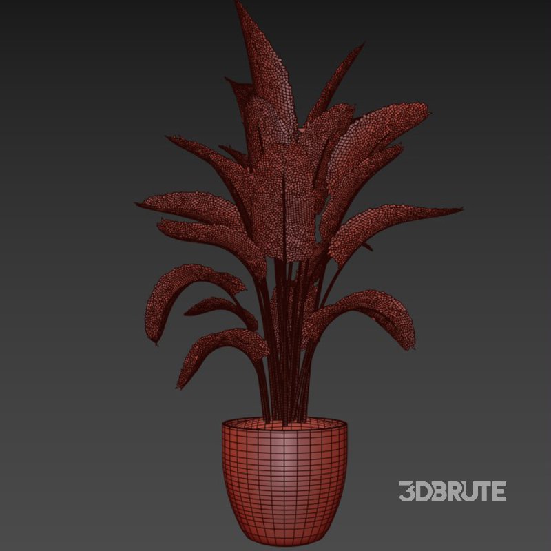 indoor plant 03 Image 5