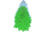 Abies fraseri- Fraser Fir -Large - Thumbnail 4