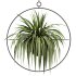 Hanging Houseplants in Metal Frames Set - Thumbnail 3