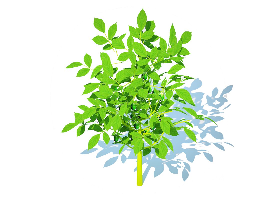 Pepper-green Image 4