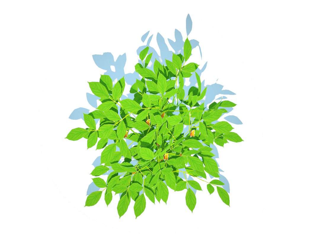 Bell Pepper-orange Image 1