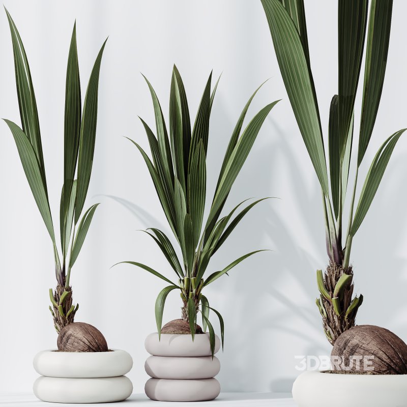 ntal olive—making this collection a visual statement for modern interior design. Image 7