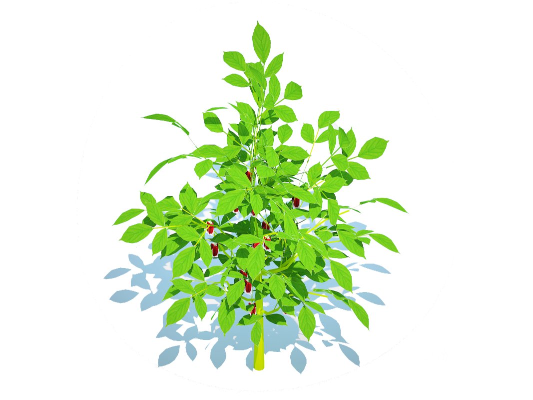 Bell Pepper-red Image 1