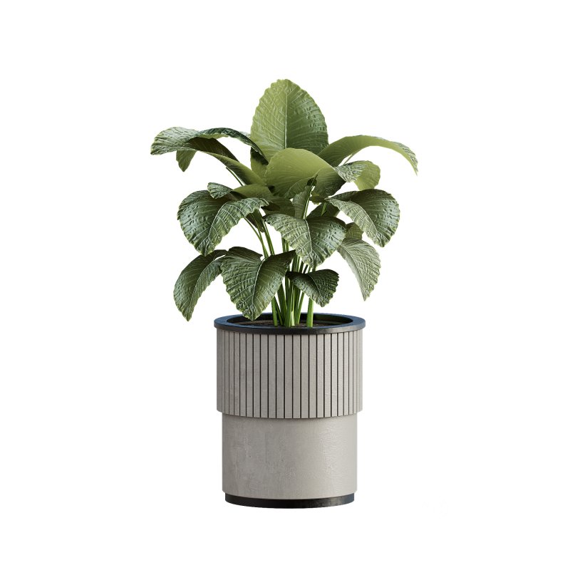 13 High Quality 3D Pot plants Image 5