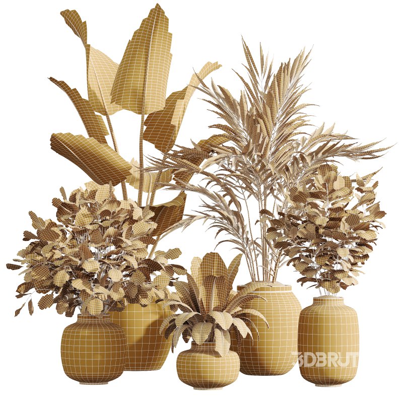 AV Indoor Plants Set 232 Branche Decorative and Bird Of Paradise and Ficus Elastica and Pelagio Palm Image 9