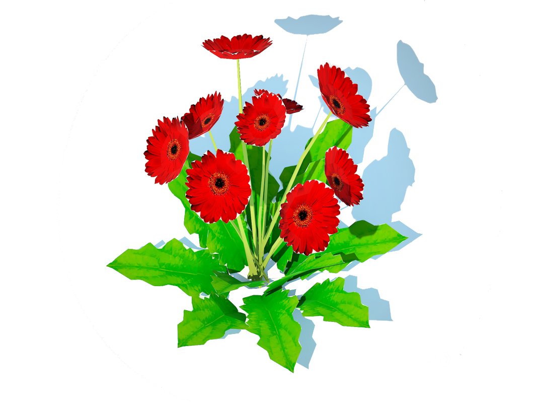 Gerbera – Gerbera Daisy_Red_Flower Image 4