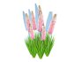Eremurus – Foxtail Lily_Pink - Thumbnail 4