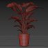 indoor plant 02 - Thumbnail 4