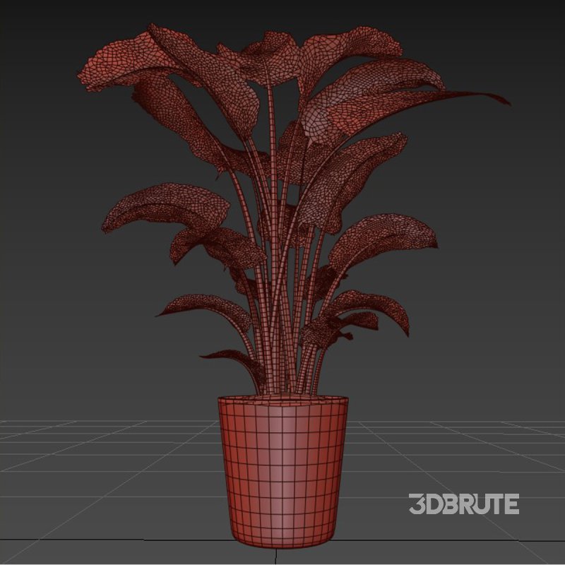 indoor plant 02 Image 4