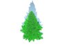 Abies fraseri- Fraser Fir -Medium - Thumbnail 5
