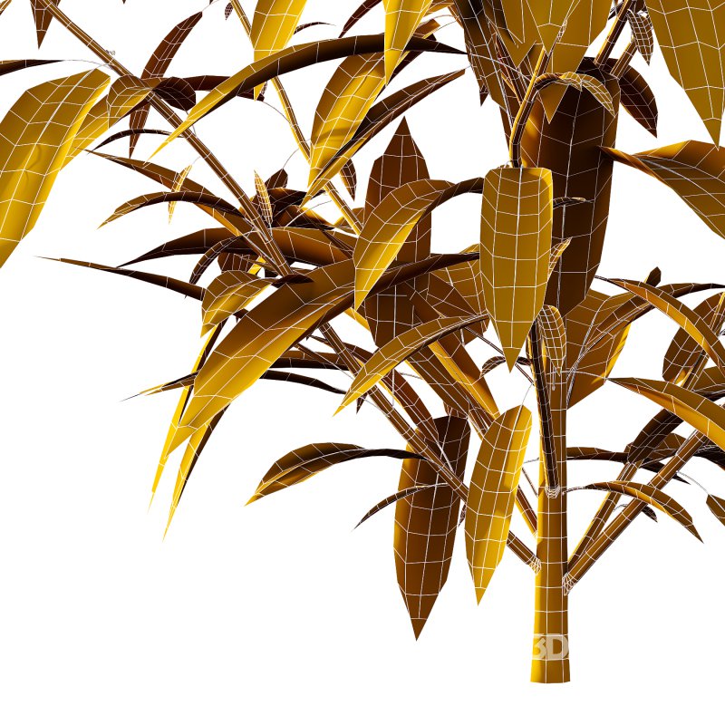 Different bush 08 Image 6