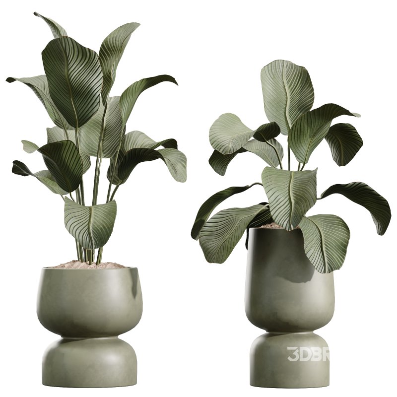 AV Indoor Plant Set 216 Olive Artificial Dracaena Warneckii Lemon Calathea Lutea Areca Palm Image 3