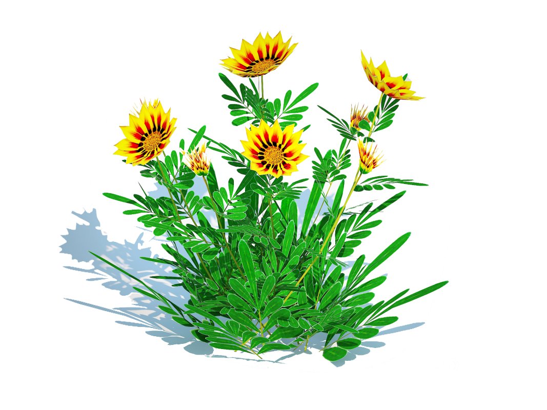 Gazania rigens Daybreak Yellow Image 1