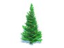Abies fraseri- Fraser Fir -Small - Thumbnail 1