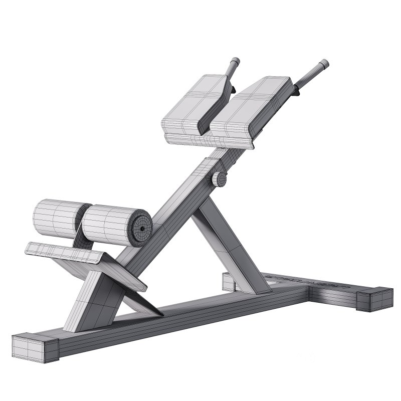 Hyperextension Club Line Lacertosus Image 9