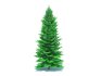 Abies fraseri- Fraser Fir -Large - Thumbnail 5