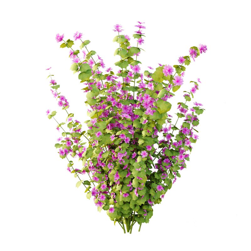 Different Grass 02 Image 4