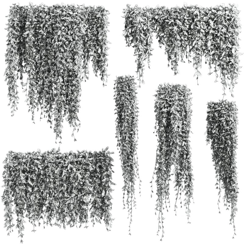 Plants_Set_167 Image 1