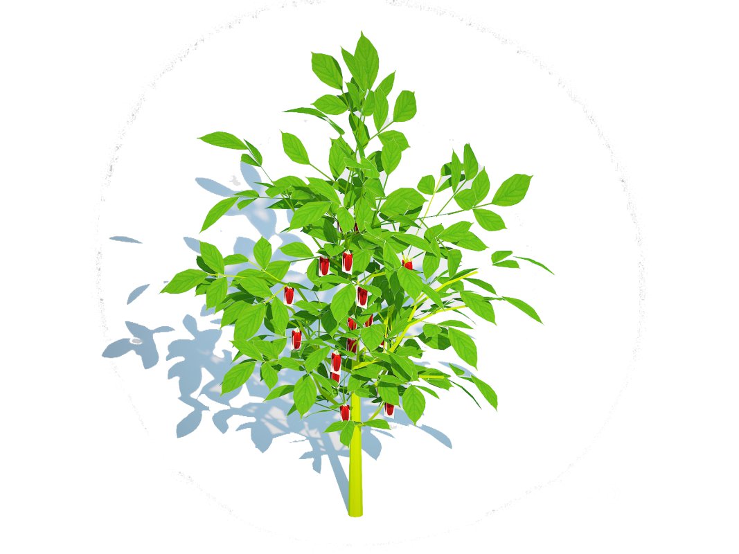 Bell Pepper-red Image 2