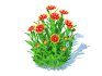 Gaillardia pulchella - Thumbnail 1
