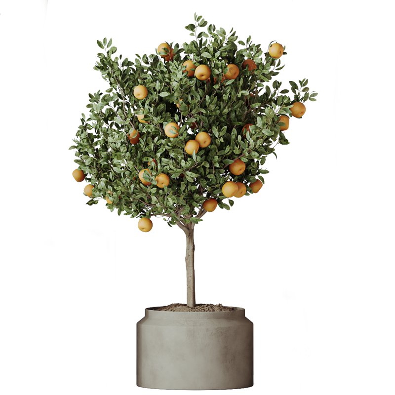 ntal, and fruit-bearing plants adds both texture and color variety to interior renders. Image 4