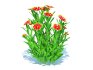 Gaillardia pulchella - Thumbnail 5