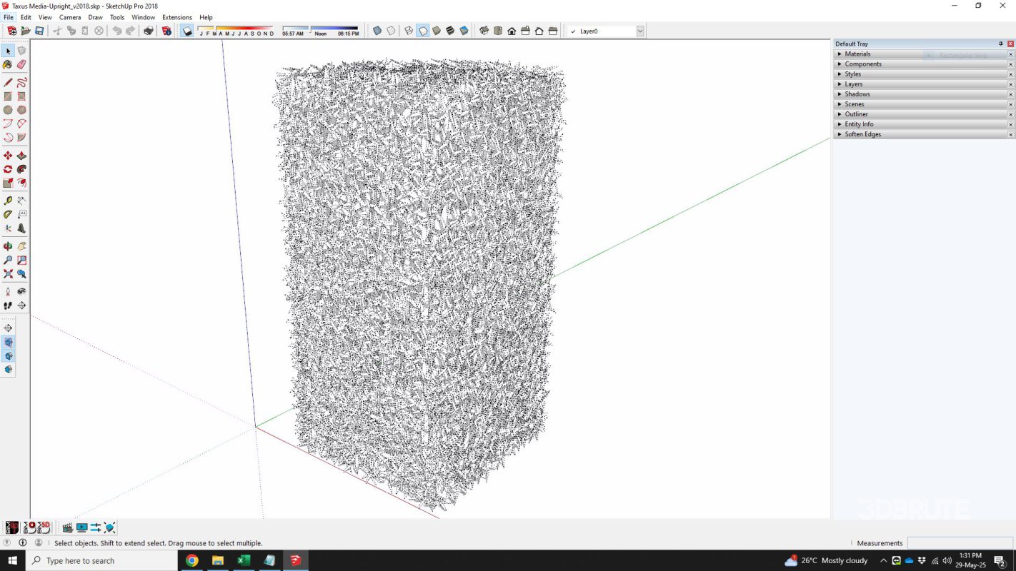 Taxus Media-Upright Image 6