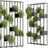AV Vertical Garden Fitowall Plants Partition | Ultra Realistic 3D Model - Thumbnail 2