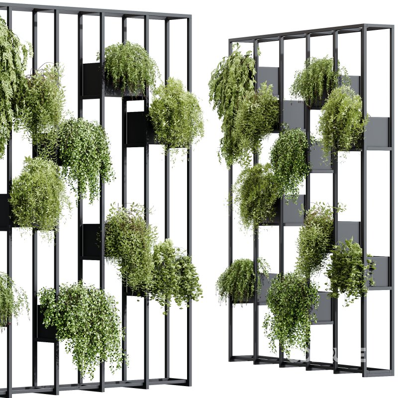 AV Vertical Garden Fitowall Plants Partition | Ultra Realistic 3D Model Image 2