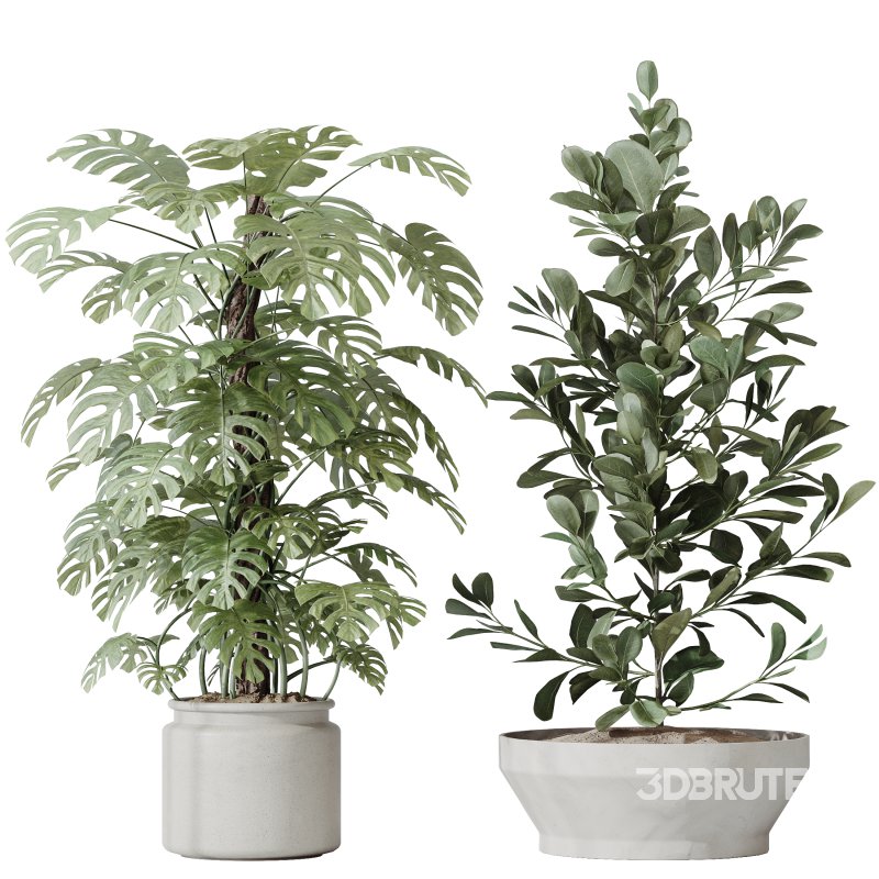 ntal olive—making this collection a visual statement for modern interior design. Image 2