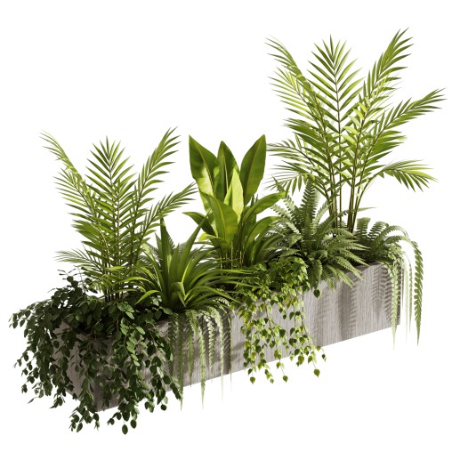 Indoor plants- Hanging Plants in Box- set177