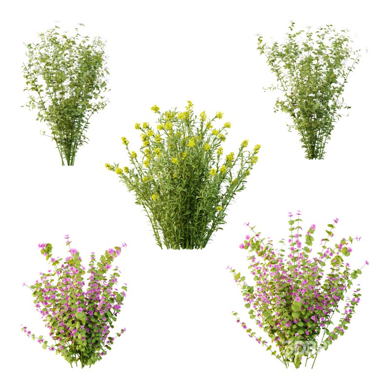 Different bush 17 Image 2